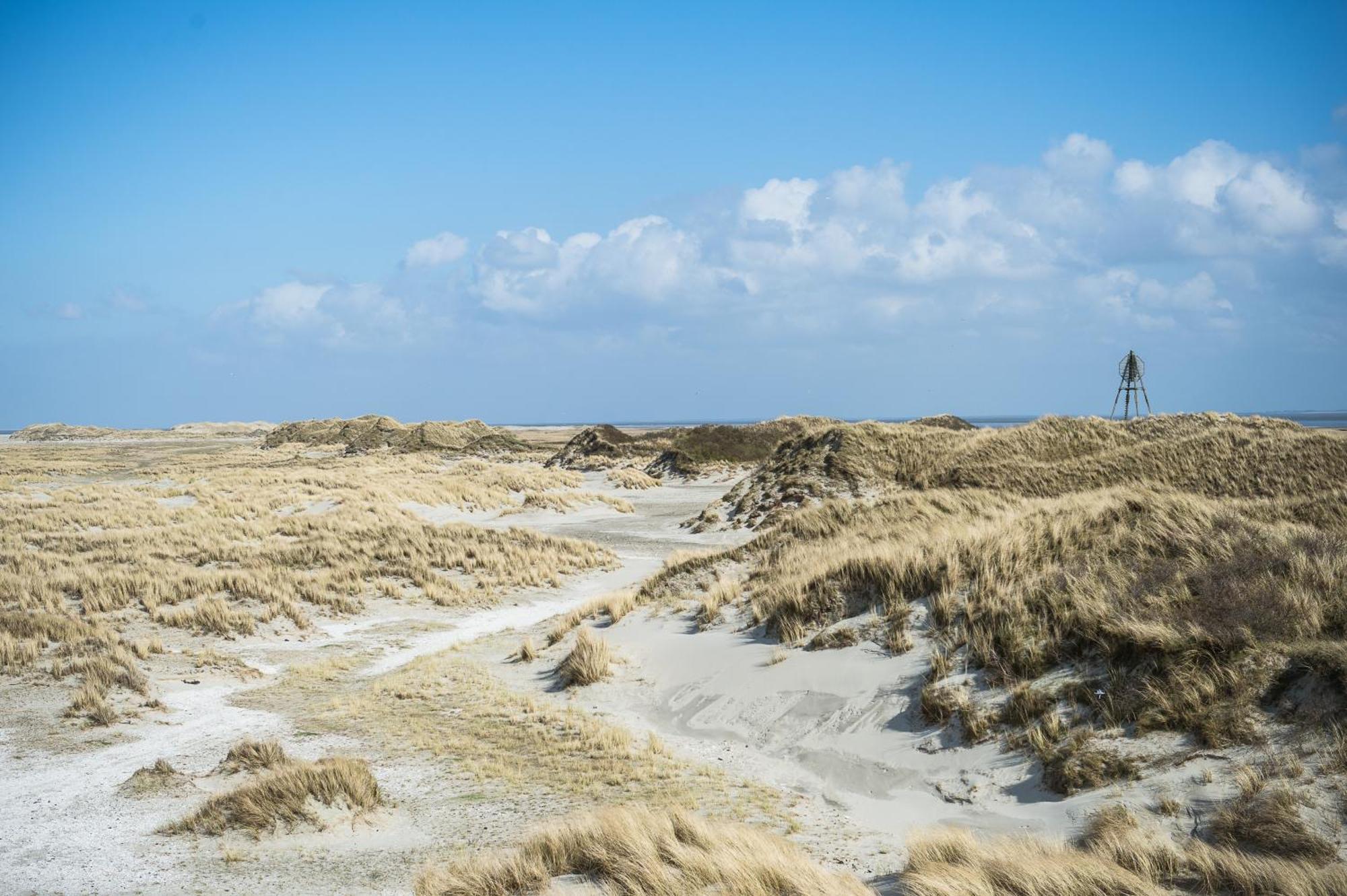 Vakantiepark Klein Vaarwater Buren  Bagian luar foto